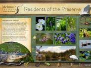 McIntosh Preserve - flora and fauna graphic