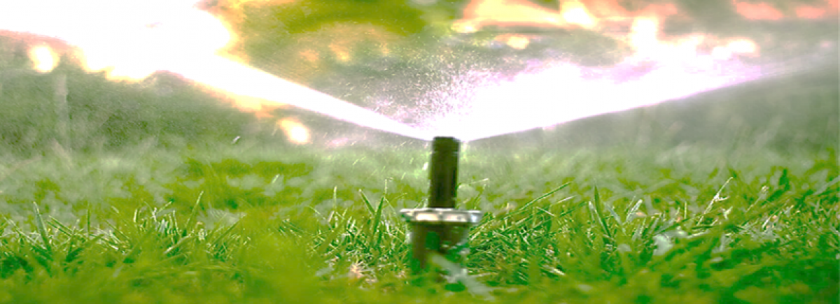 Sprinkler Head watering grass